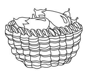 Баклажаны в корзине
