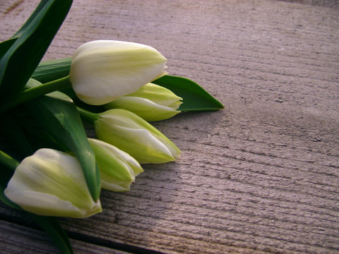 Tulips on wooden background with space for message. Mother's Day background. Top view. Valentines Day background.