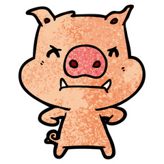 angry cartoon pig