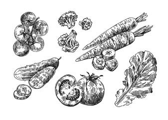 Beautiful hand drawn illustration vegetable. 