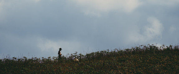 Man in field