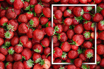 Fruit background, lots of strawberries, top view, white frame. Healthy food, fresh natural fruits, berries.