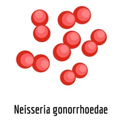 Neisseria gonorrhoedae icon. Cartoon illustration of neisseria gonorrhoedae vector icon for web.