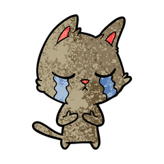 crying cartoon cat