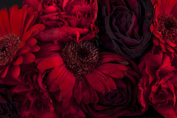 Red flowers on Black background