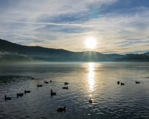 Fototapeta premium Abendsonne am Titisee