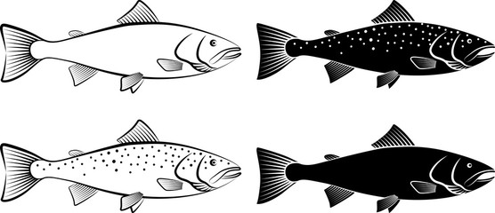 Naklejka premium salmon - clip art illustration