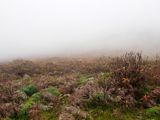 The extinct L Junco volcano in the fog, San Cristobal, Galapagos, Ecuador