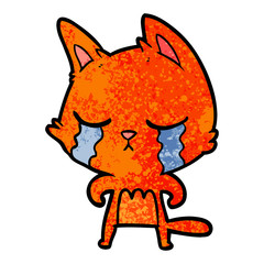 crying cartoon cat