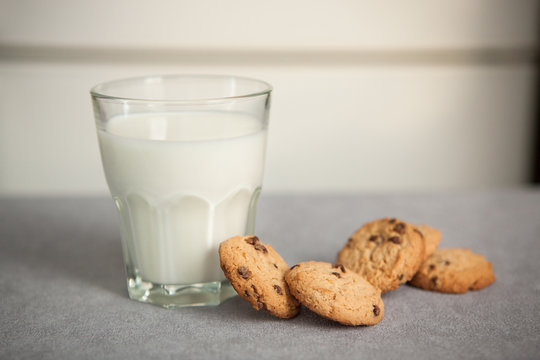 Milk with chocolate chip cookies on gray table