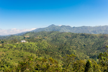 Fototapeta na wymiar The Namunukula mountain seen from the little Adams peak, a famous viewpoint close to the small town Ella, located in the Uva province of Sri Lanka