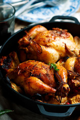 cranberry apple stuffed cornish hens