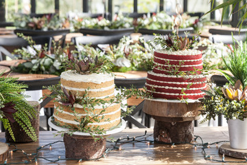 two cakes for the wedding celebration
