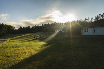 Słońce oświetlające łąke na której bawią się dzieci - 186587693