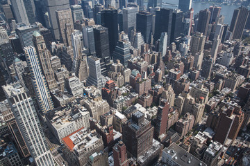 Fototapeta na wymiar New York bird perspective