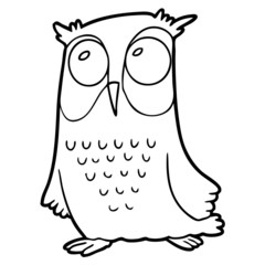 cartoon owl
