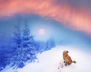 Fototapety na wymiar - Fototapeta24.pl