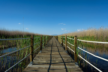 A sheltered wooden boardwalk extends through a wildlife sanctuary