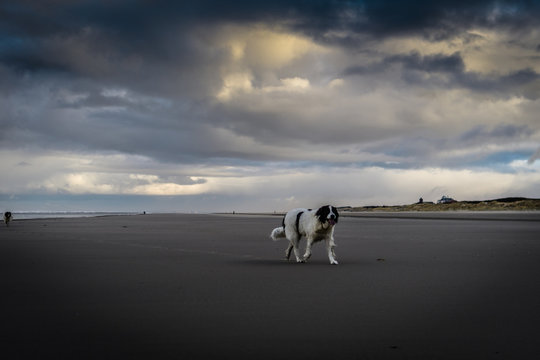 Landsers am Strand