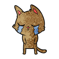 crying cartoon cat