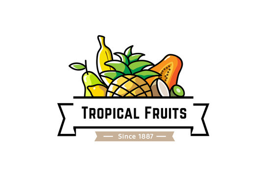 Tropical Fruits Vintage Banner Logo Design Symbol Illustration