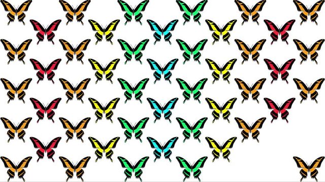 animation of multicolored butterflies on a white background