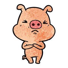 cartoon angry pig