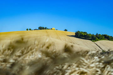 Marche