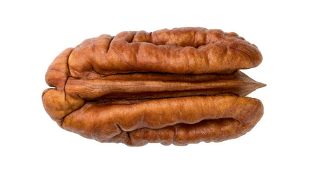 pecan nuts isolated on white background