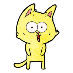 funny cartoon cat