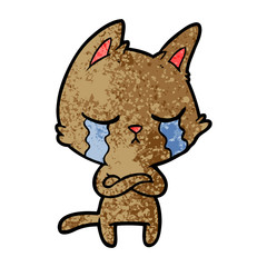 Obraz na płótnie Canvas crying cartoon cat with folded arms