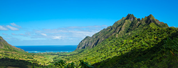 Fototapeta na wymiar Hawaii mountains
