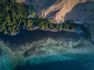 Komodo Island Shoreline