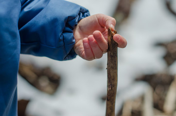 child's hand hold a wooden stick