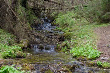 View of mountain river in early spring, in Slovakia