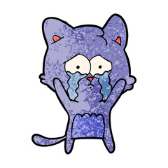 cartoon cat