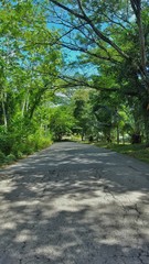 Obraz premium Respiro verde.