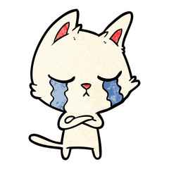 crying cartoon cat
