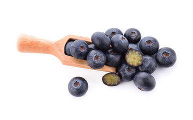 Blueberry on white background.