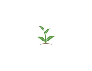 Leaf Plant Grass Naturally Logo