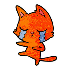 crying cartoon cat dancing