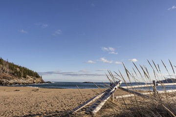 Sand Beach in Acadia National Park