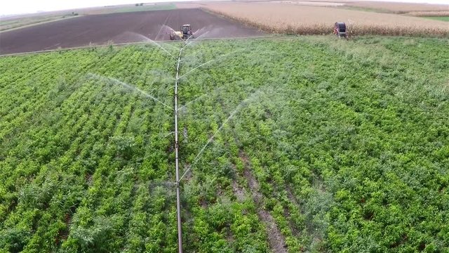 The tractor pulls machine for spraying onion during irrigation of pepper field. Aerial footage.