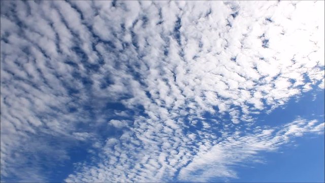 Time-Lapse clip of a azure sky background with bright white racing  cumulus clouds 