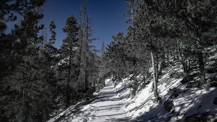 Rocky Mountains