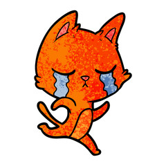 crying cartoon cat