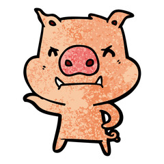 angry cartoon pig