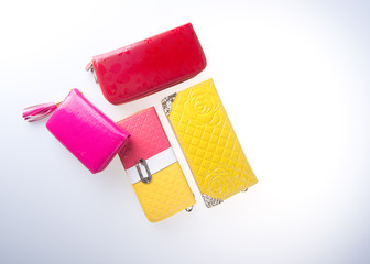 wallet woman isolated. wallet woman isolated on the blackground