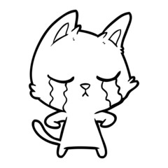 crying cartoon cat
