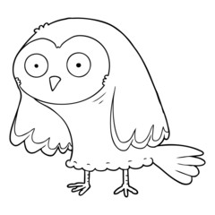 cartoon owl